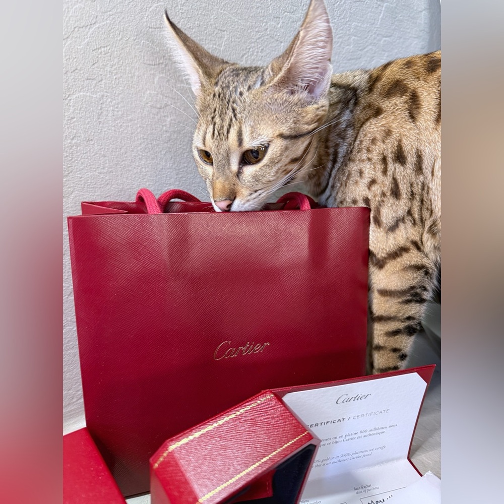 ❌SOLD❌ Cartier Juste un Clou Yellow Gold Nail Ring size 8.75 59